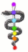 Singolo Serpente